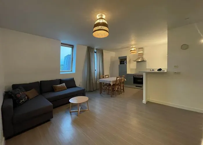 Appartement Centre-ville *